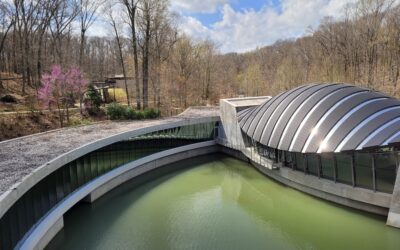 Crystal Bridges Museum in Bentonville, Arkansas